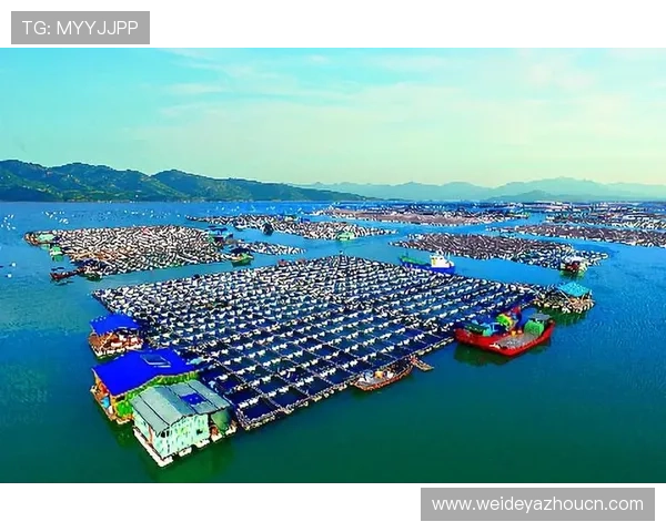 博鱼体育入口稳定性分析，保障用户连续观看体育赛事的顺畅体验